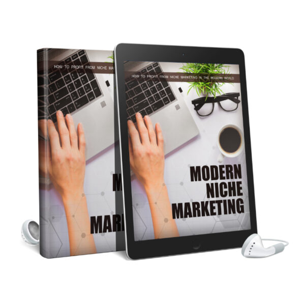 Modern Niche Marketing Audiobook and Ebook