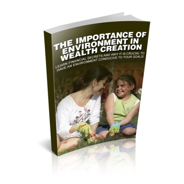 The Importance Of Environment In Wealth Creation 1