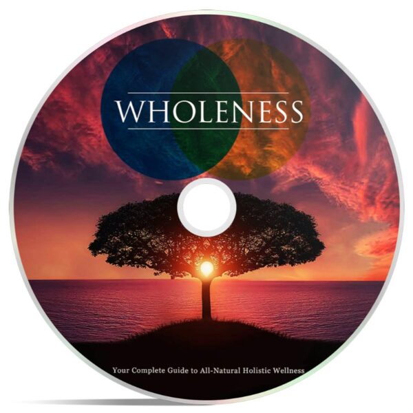 Wholeness Upgrade 1